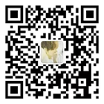 黄色91视频免费观看